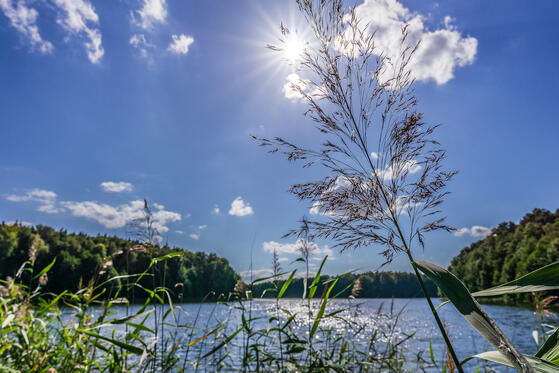 Seewanderung: Tiefer Bugsinsee