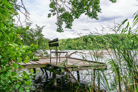 Seewanderung: Trebuser See