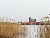 Unteruckersee (Westufer)