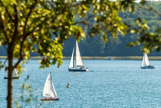 Seewanderung: Werbellinsee