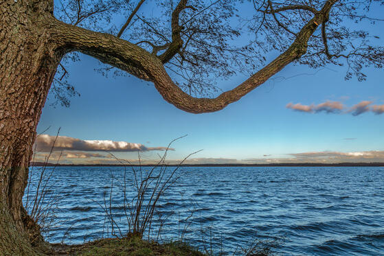 Seewanderung: Wolziger See