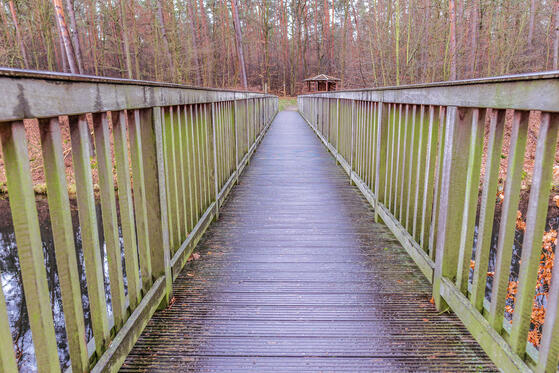 Seewanderung: Wupatzsee und entlang am Heidereutersee