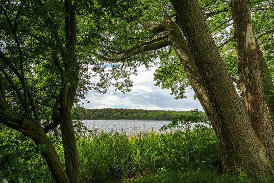 Seewanderung: Ziestsee