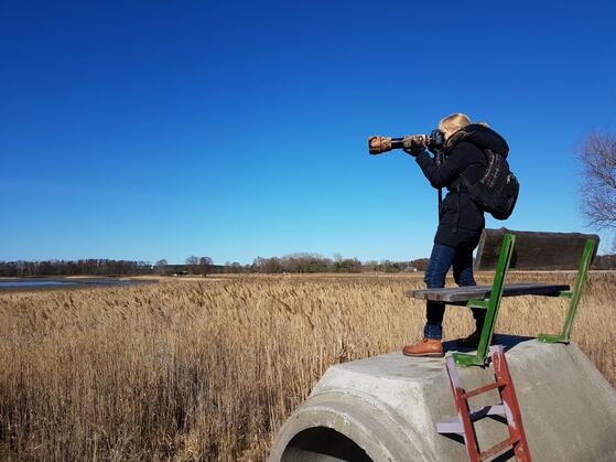 Die mit den Vögeln tanzt