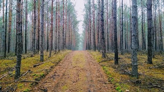 Brandenburg bietet viele Ausflugsziele für Familien