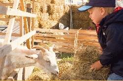 Urlaub und Besichtigungen auf dem Biobauernhof in Brandenburg