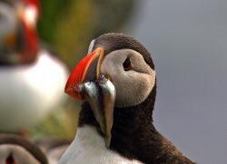 Die Nordsee - Unser Meer