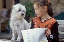 Mein Bruder ist ein Hund