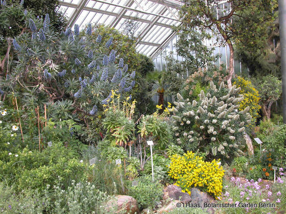 Mittelmeerhaus im Frühling