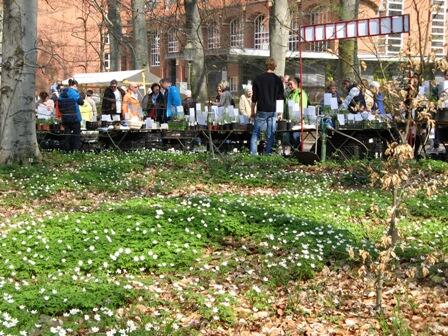 Staudenmarkt im Botanischen Garten