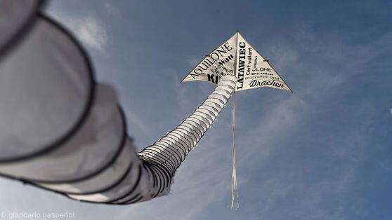 Internationales Drachenfest  im Volkspark Potsdam 