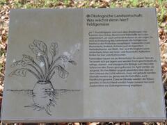 Wie geht Bio-Anbau? Auf Infotafeln wird es erklärt.