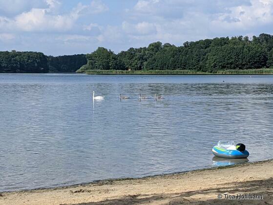 Badestrand am Groß Glienicker See